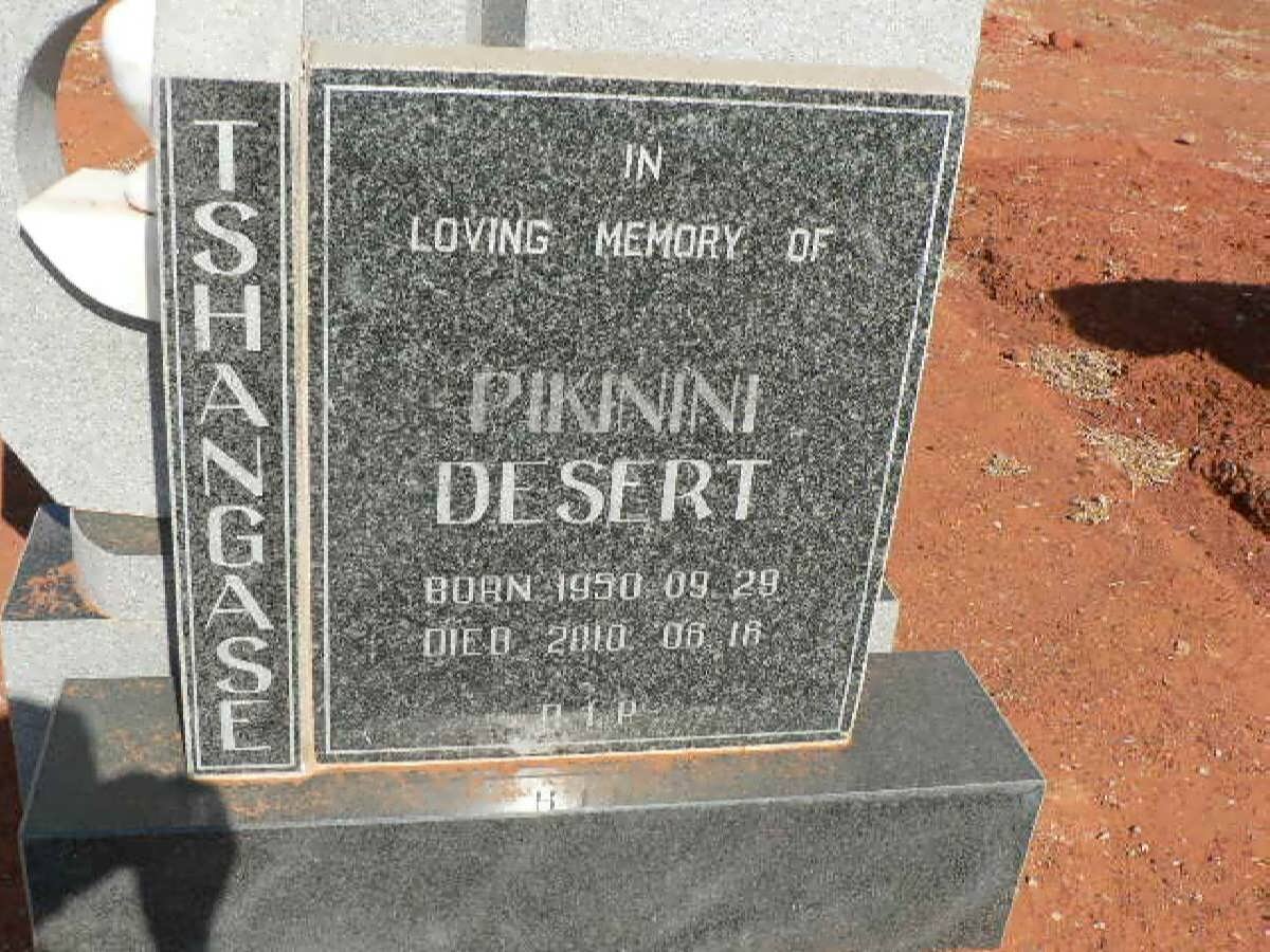 TSHANGASE Pikinini Desert 1950-2010