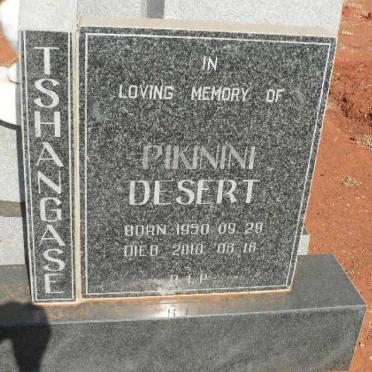 TSHANGASE Pikinini Desert 1950-2010