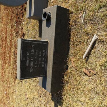 TSHEZI Nomundelo 1945-2001