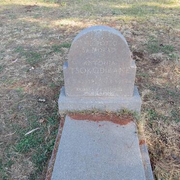 TSOKODIBANE Antonia 1939-1944