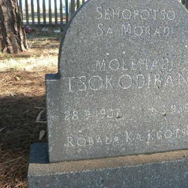 TSOKODIBANE Molehadi 1937-1944