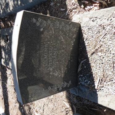 TABANE Salamina Diseko 1915-1967