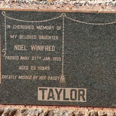 TAYLOR Noel Winifred -1959