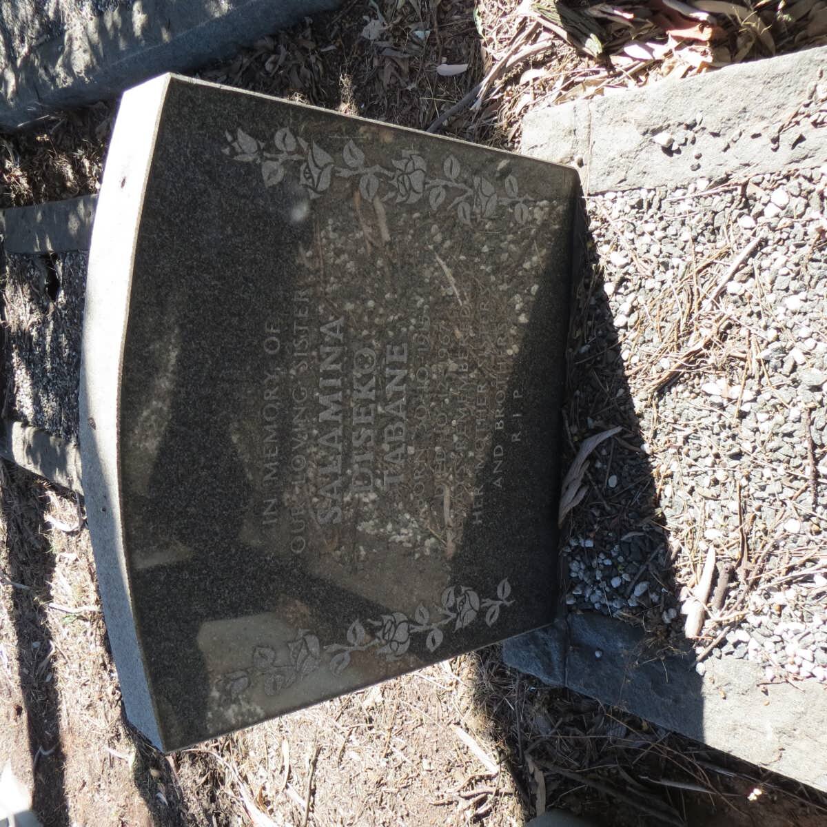 TABANE Salamina Diseko 1915-1967