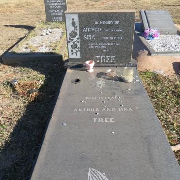 TREE Arthur -1964 &amp; Sina -1973