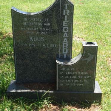 TRIEGAARDT Koos 1925-1993