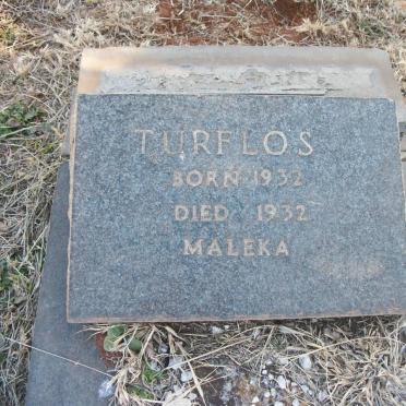 TURFLOS Maleka 1932-1932