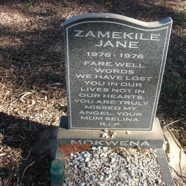 ZAMEKILE Jane 1976-1976