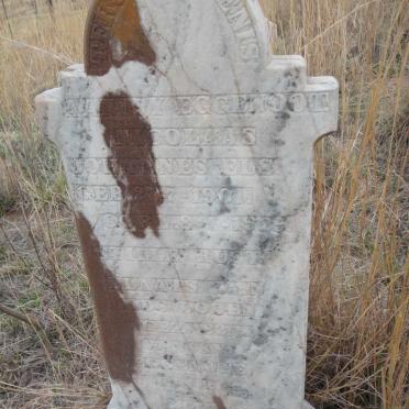 ELS Nicolaas Johannes 1901-1929