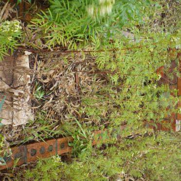 ROETS Magdalena Sophia Cornelia 1911-1970 