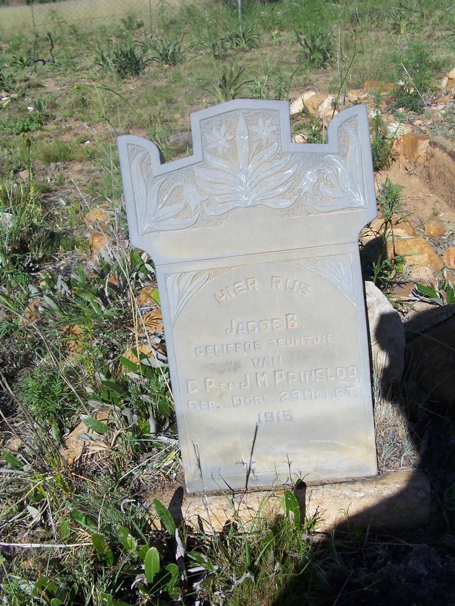 PRINSLOO Jacob B. 1915-1915