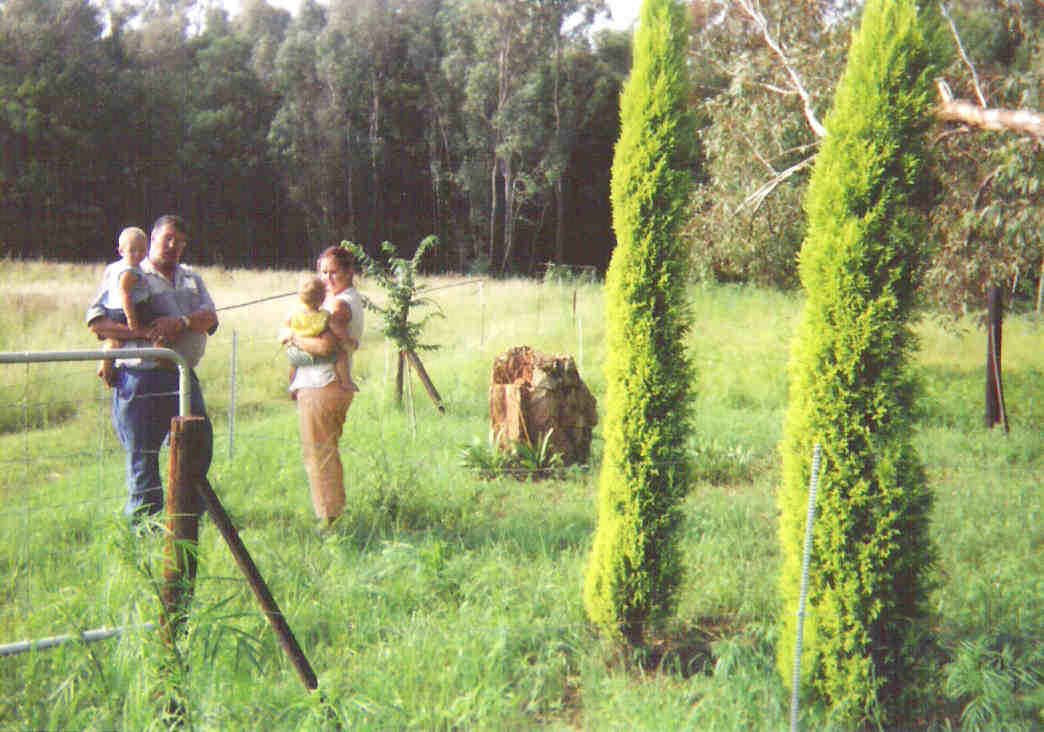 1. Overview - MEYER Herman Frederik 1963-2000