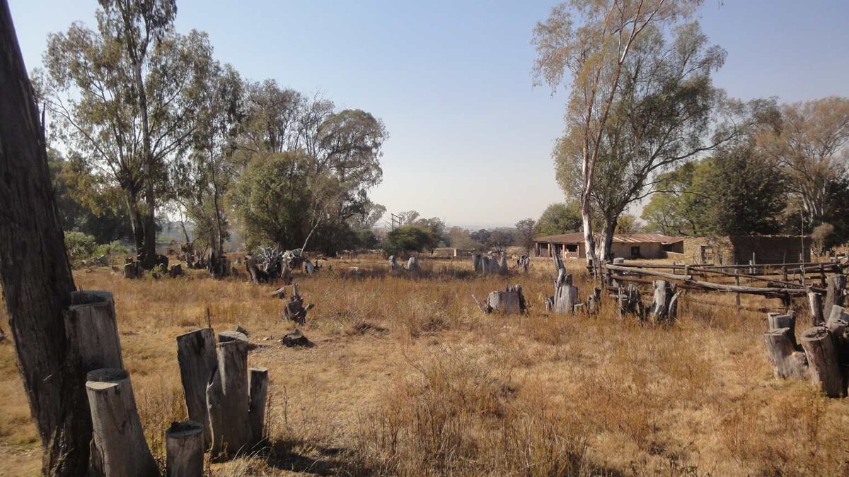 2. Overview / Oorsig