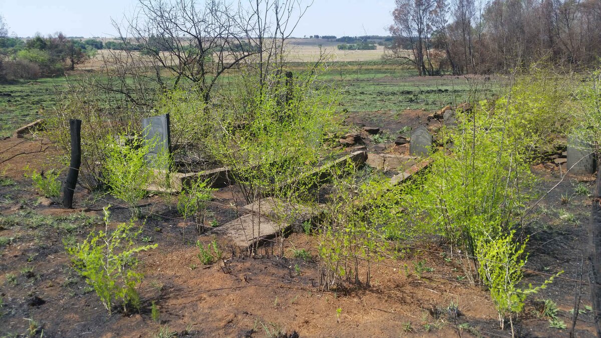 1. Oorsig / Overview