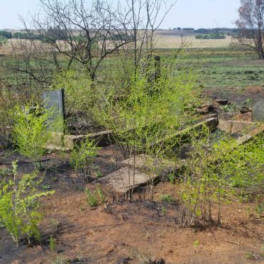 1. Oorsig / Overview