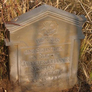 BORNMAN Jacobus Johannes 1946-