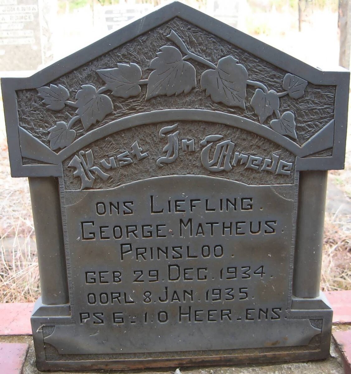 PRINSLOO George Matheus 1934-1935