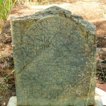 DENYSSCHEN Aletta Petronella Johanna 1895-1920