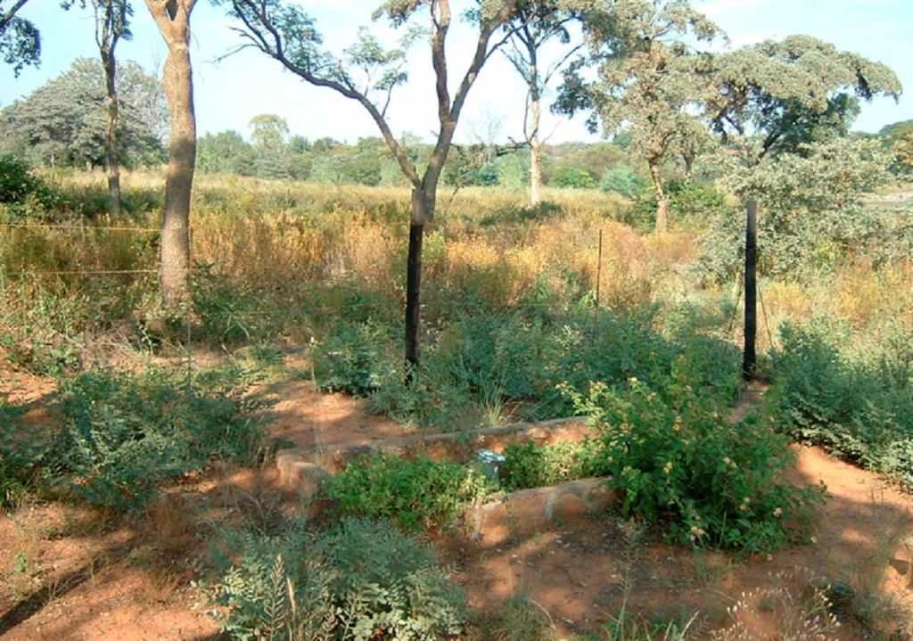 ERASMUS Michal Koenraad 1909-1991 &amp; Francis VAN VUUREN