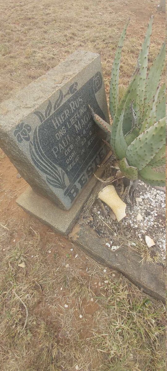 BESTER Paul Magiel 195?-