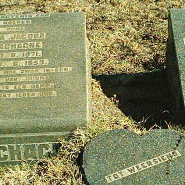 LABUSCHAGNE Jan Harm 1872-1942 &amp; Engela Jacoba 1871-1953