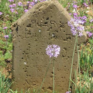 NEUHOFF Dirkolina E.M. :: NEUHOFF Johannes J.