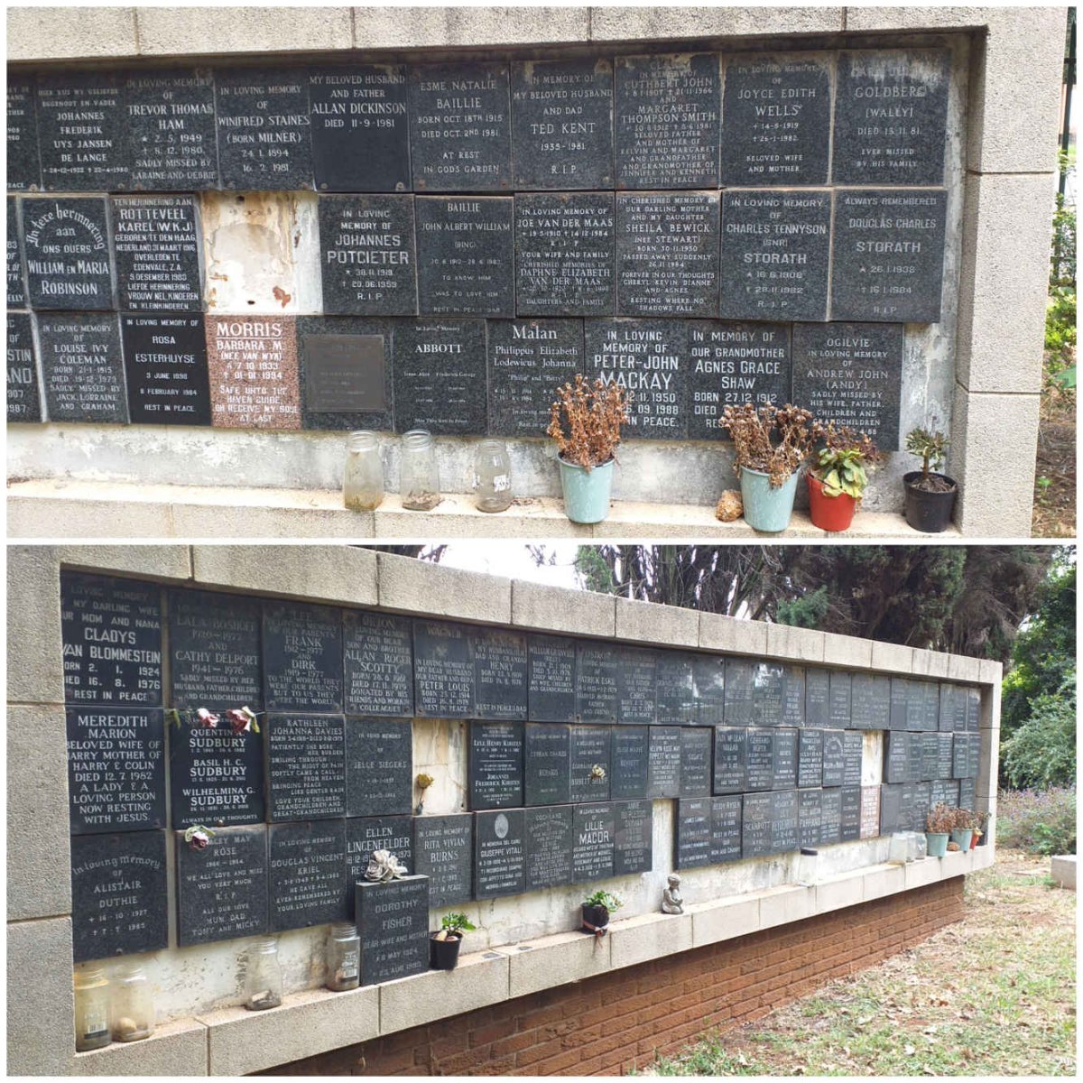 7. Overview / Oorsig