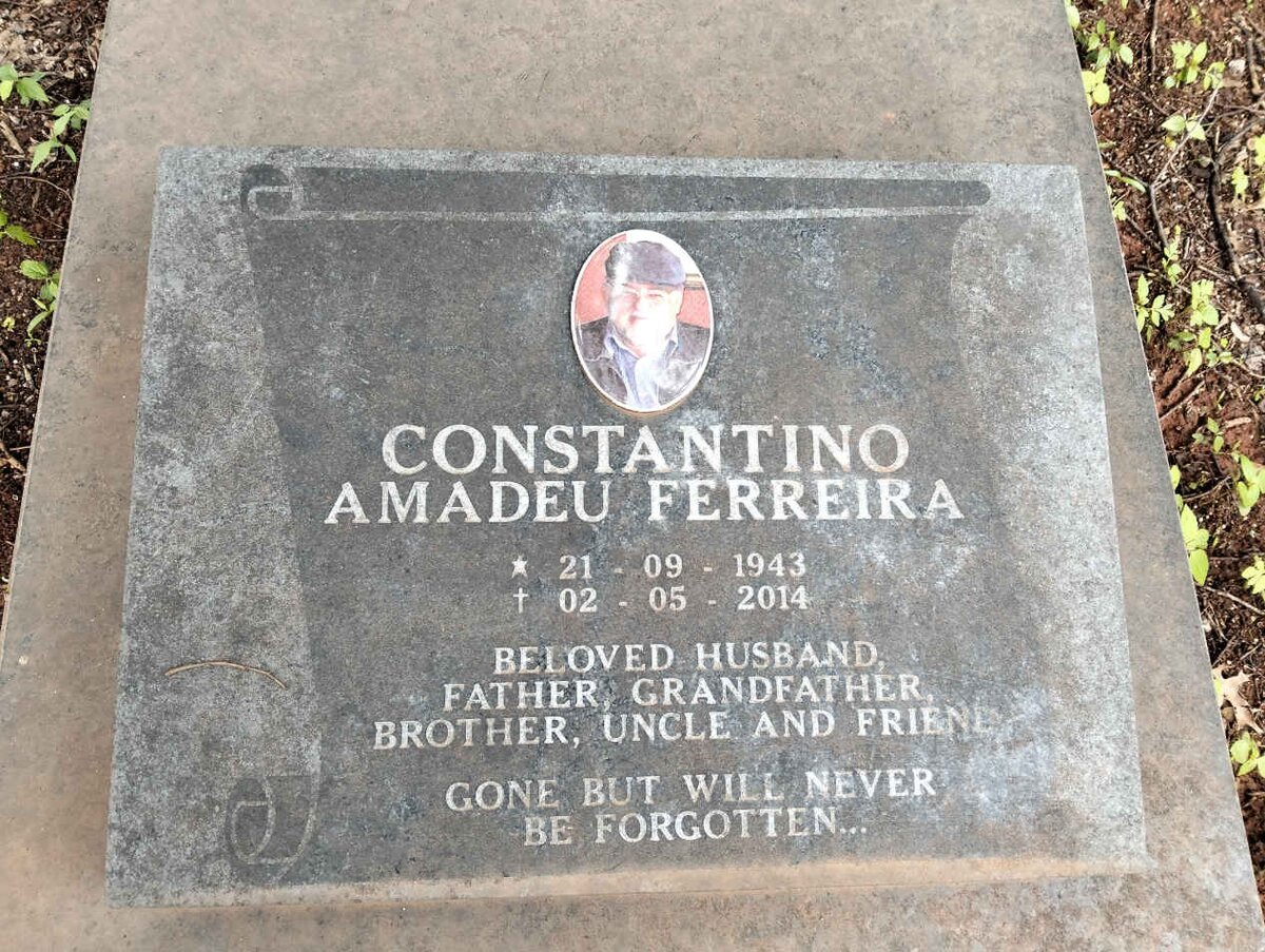 CONSTANTINO Amadeu Ferreira 1943-2014