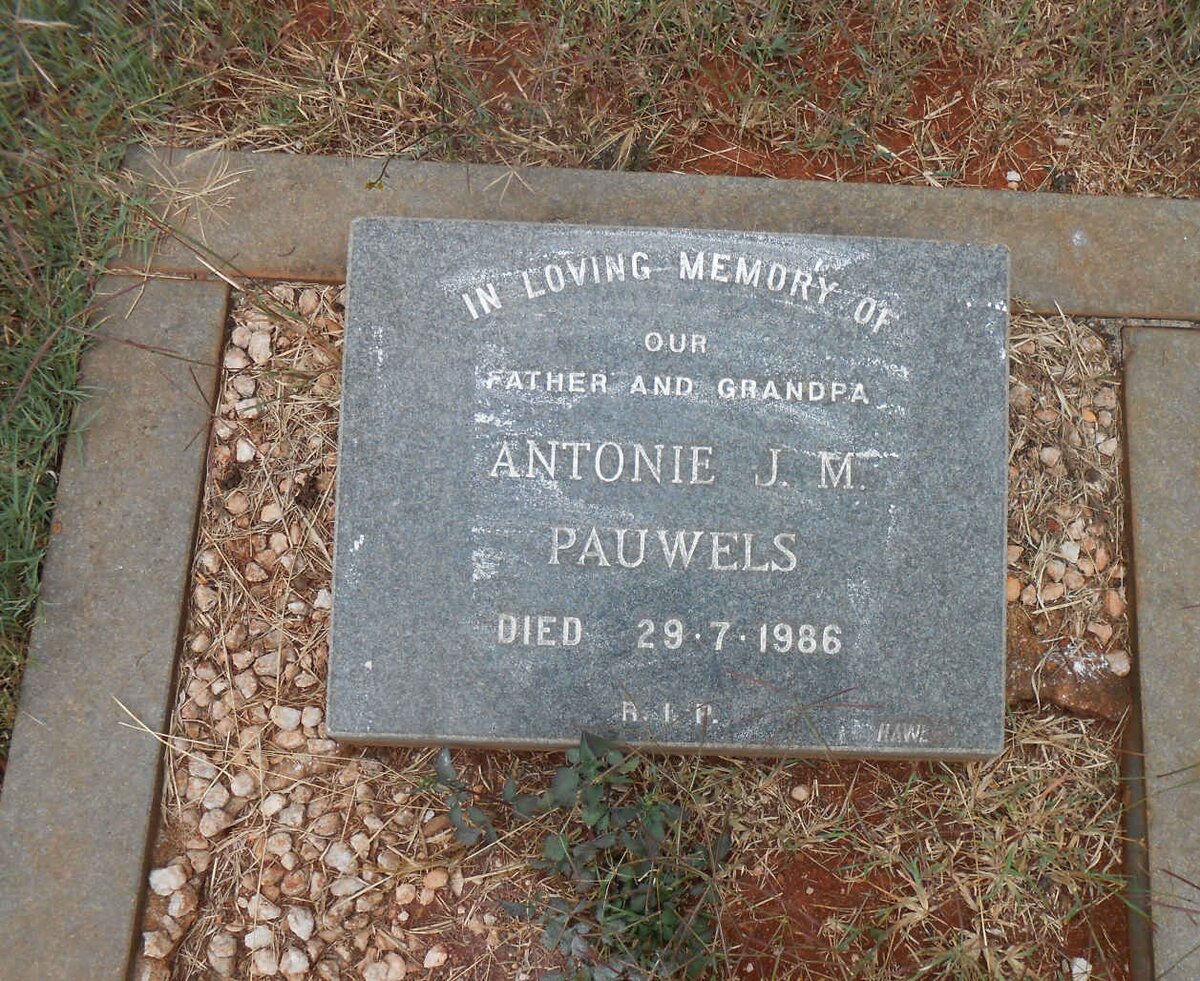 PAUWELS Antonie J.M. -1986