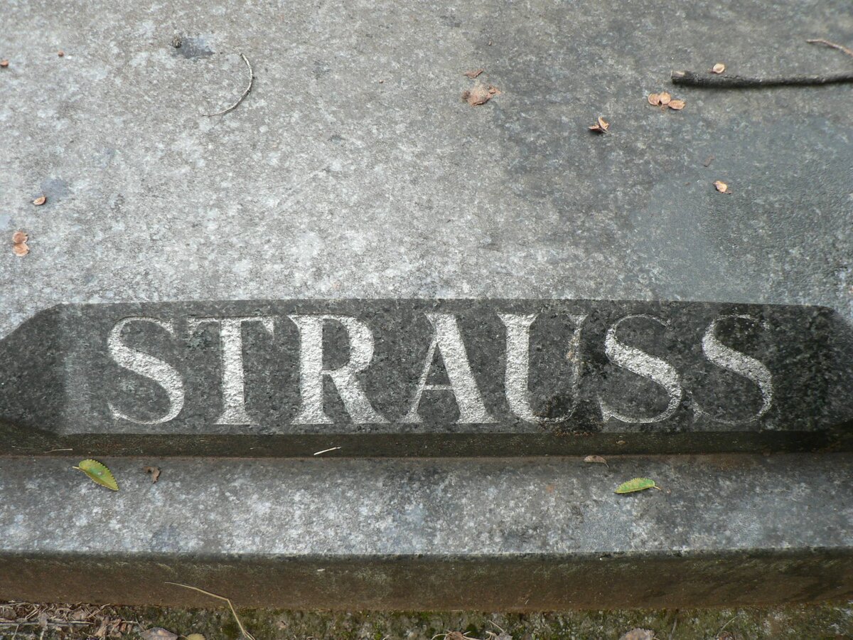 STRAUSS Nick 1935-1993 _1