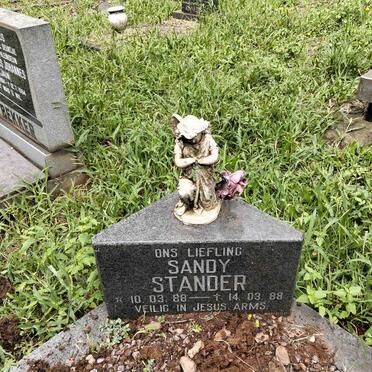 STANDER Sandy 1988-1988