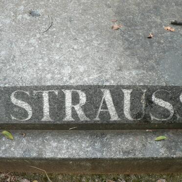 STRAUSS Nick 1935-1993 _1