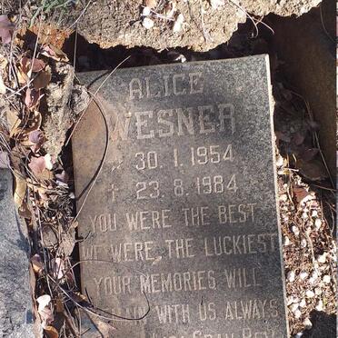 WESNER Alice 1954-1984