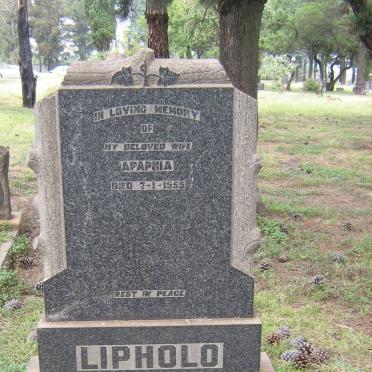 LIPHOLO Apaphia -1955