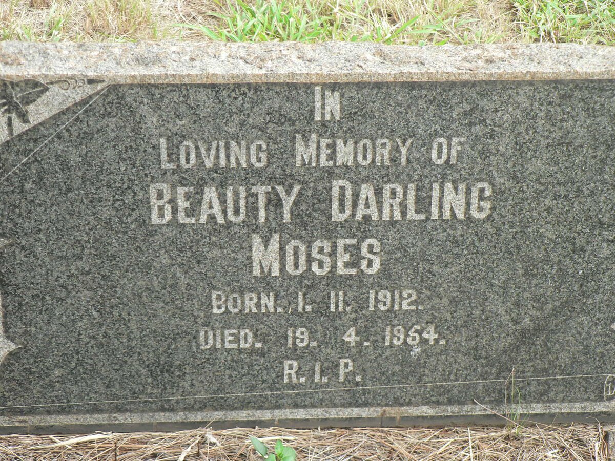 MOSES Beauty Darling 1912-1954
