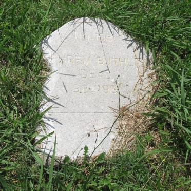 BUTHLE? ?furem -195?