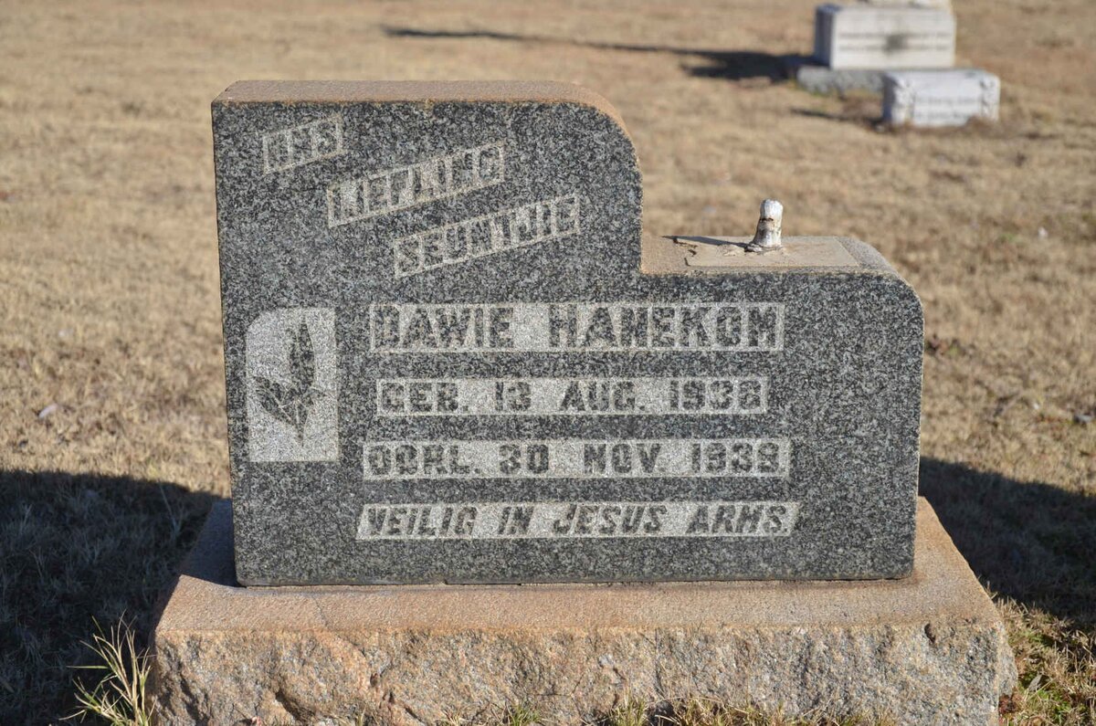 HANEKOM Dawie 1936-1939