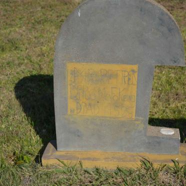 M - Surnames :: Vanne - M