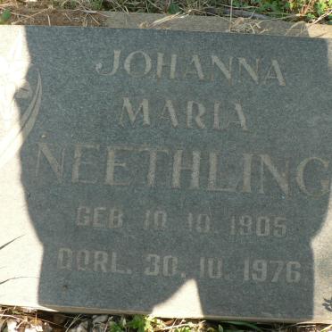NEETHLING Johanna Maria 1905-1976