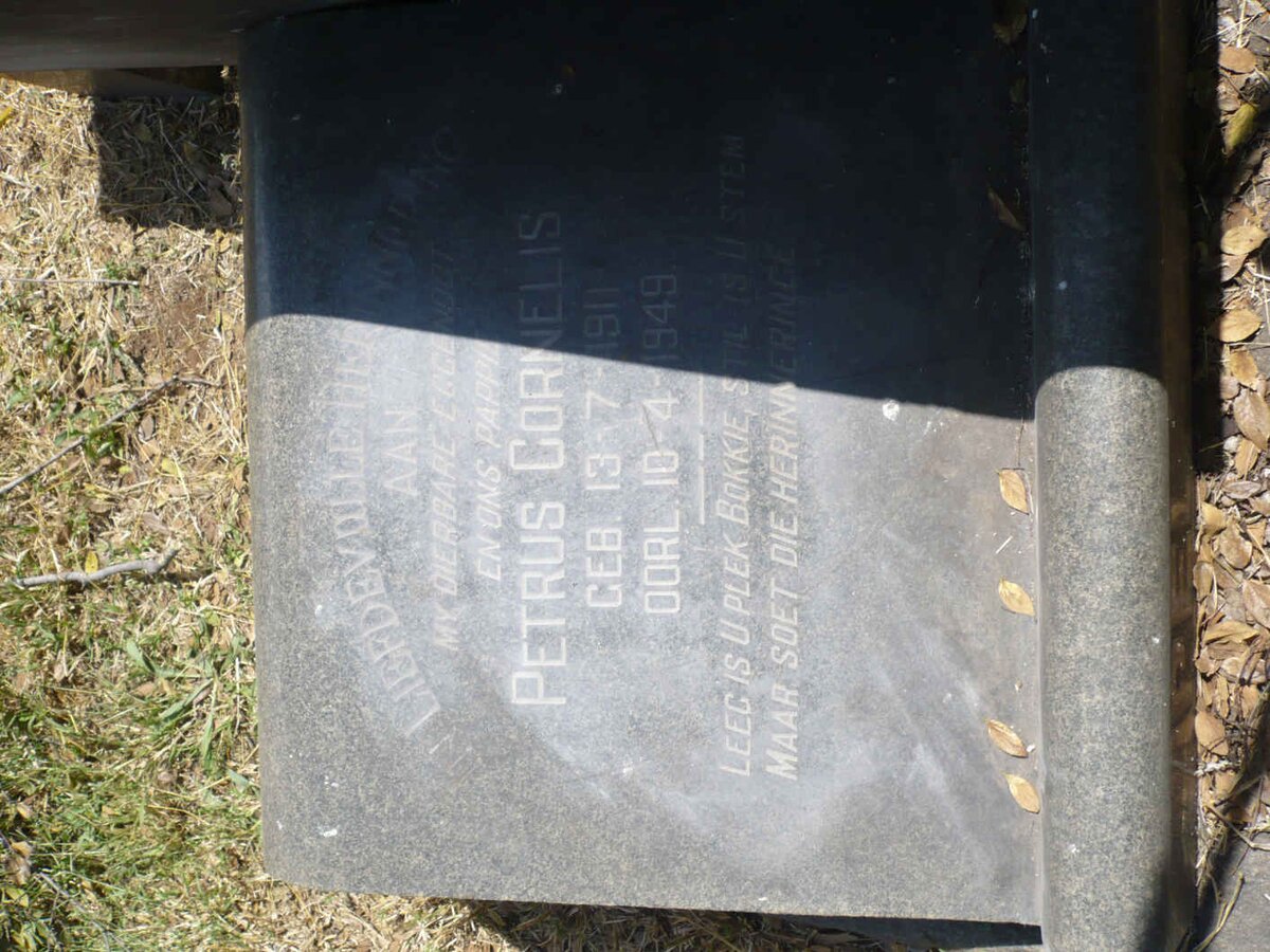 PELSER Petrus Cornelis 1911-1949