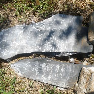 RAUBENHEIMER Joha? :: RAUBENHEIMER Emi? 1905-1905