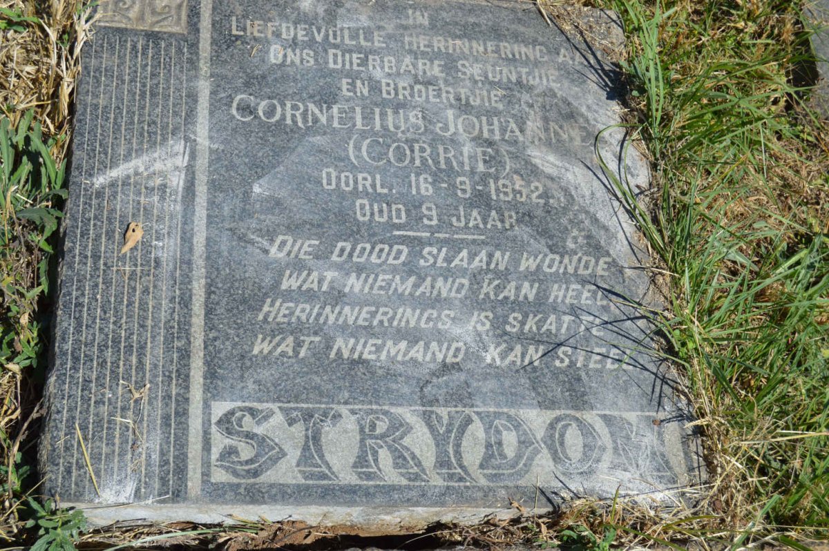 STRYDOM Cornelius Johannes -1952