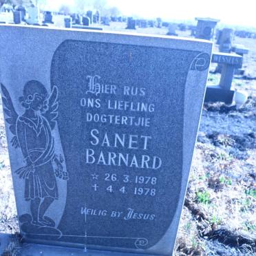BARNARD Sanet 1978-1978