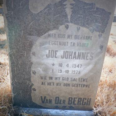 BERGH Johannes, van der 1947-1975