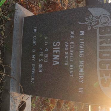 BRIDGES Siena 1903-1989