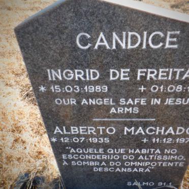 CANDICE Alberto Machado 1935-1978 :: CANDICE Ingrid de Freitas 1989-1990