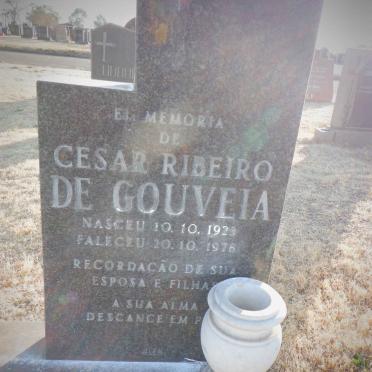 GOUVEIA Cesar Ribeiro, de 1923-1978