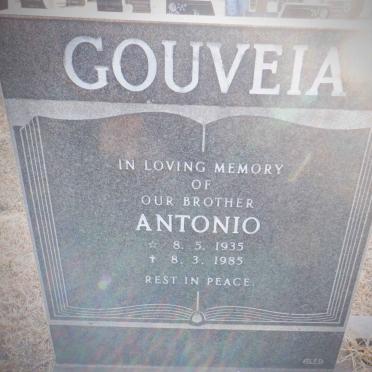 GOUVEIA Antonio 1935-1985