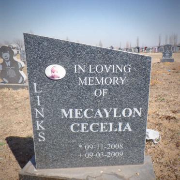 LINKS Mecaylon Cecelia 2008-2009