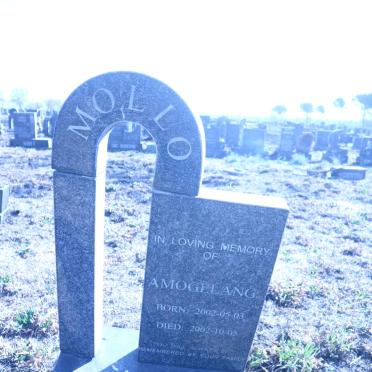 MOLLO Amogelang 2002-2002